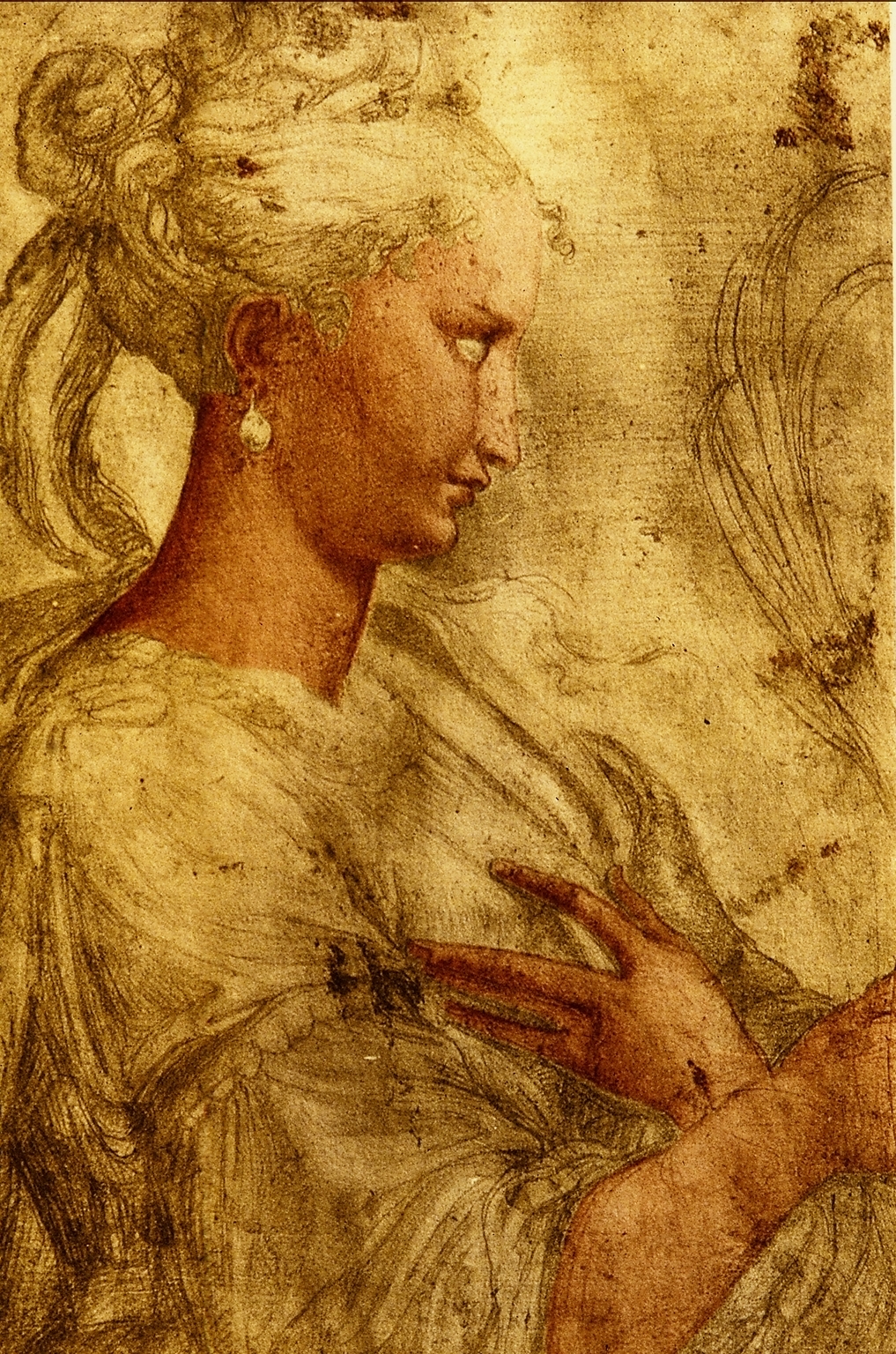 Parmigianino-1503-1540 (52).jpg